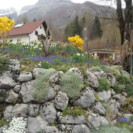 Apartment Vida Bovec Exterior foto