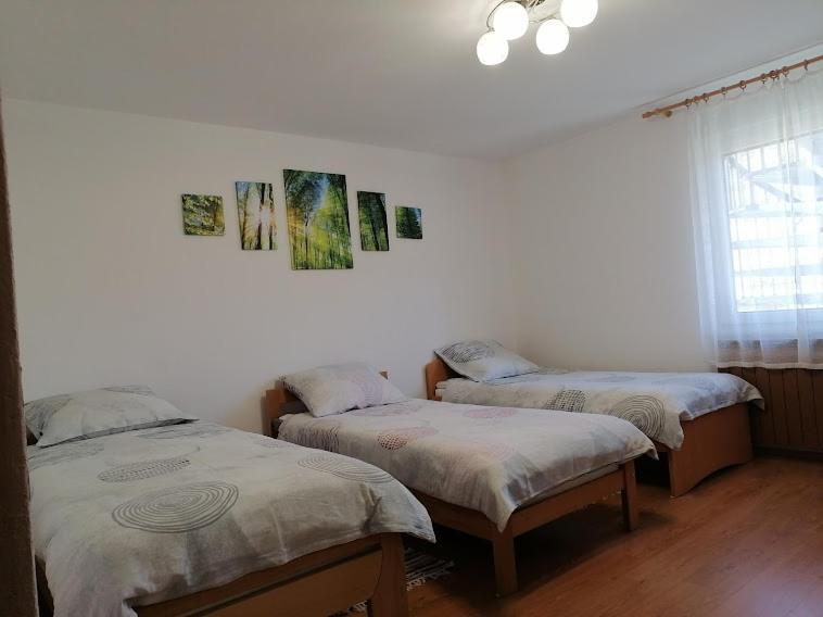 Vida Apartment