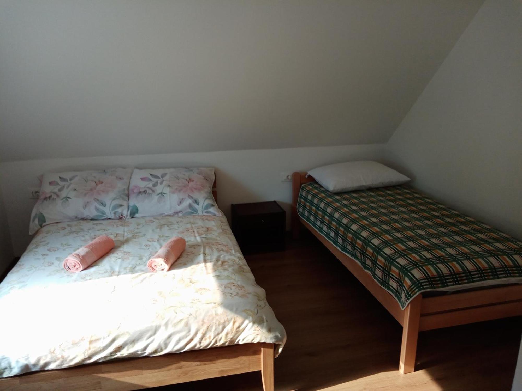Vida Bovec