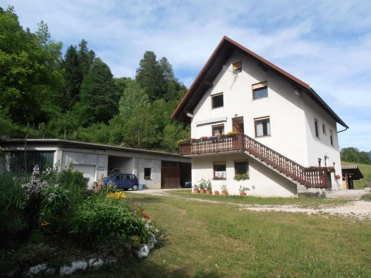Apartman Vida *