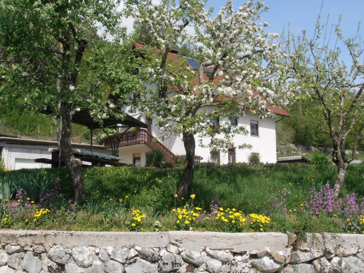 Apartman Vida *