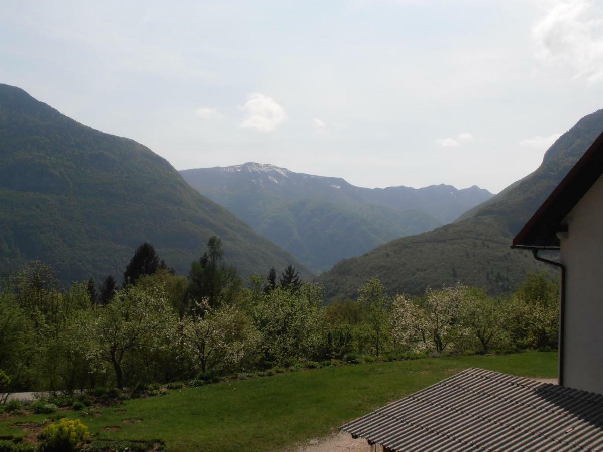 Vida Bovec